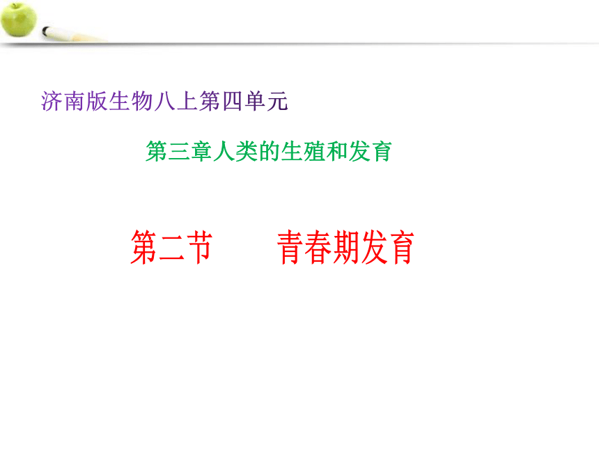 第三章第二节青春期发育课件(共25张PPT)2021--2022学年济南版生物八年级上册