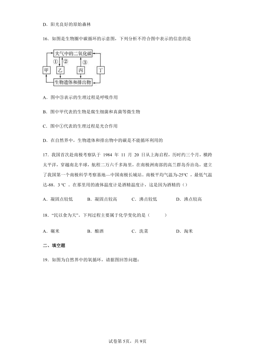 第三章 物质的转化和元素的循环 综合练习（含答案）