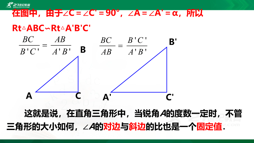 1.1.2 锐角三角函数（第2课时）  课件（共21张PPT）