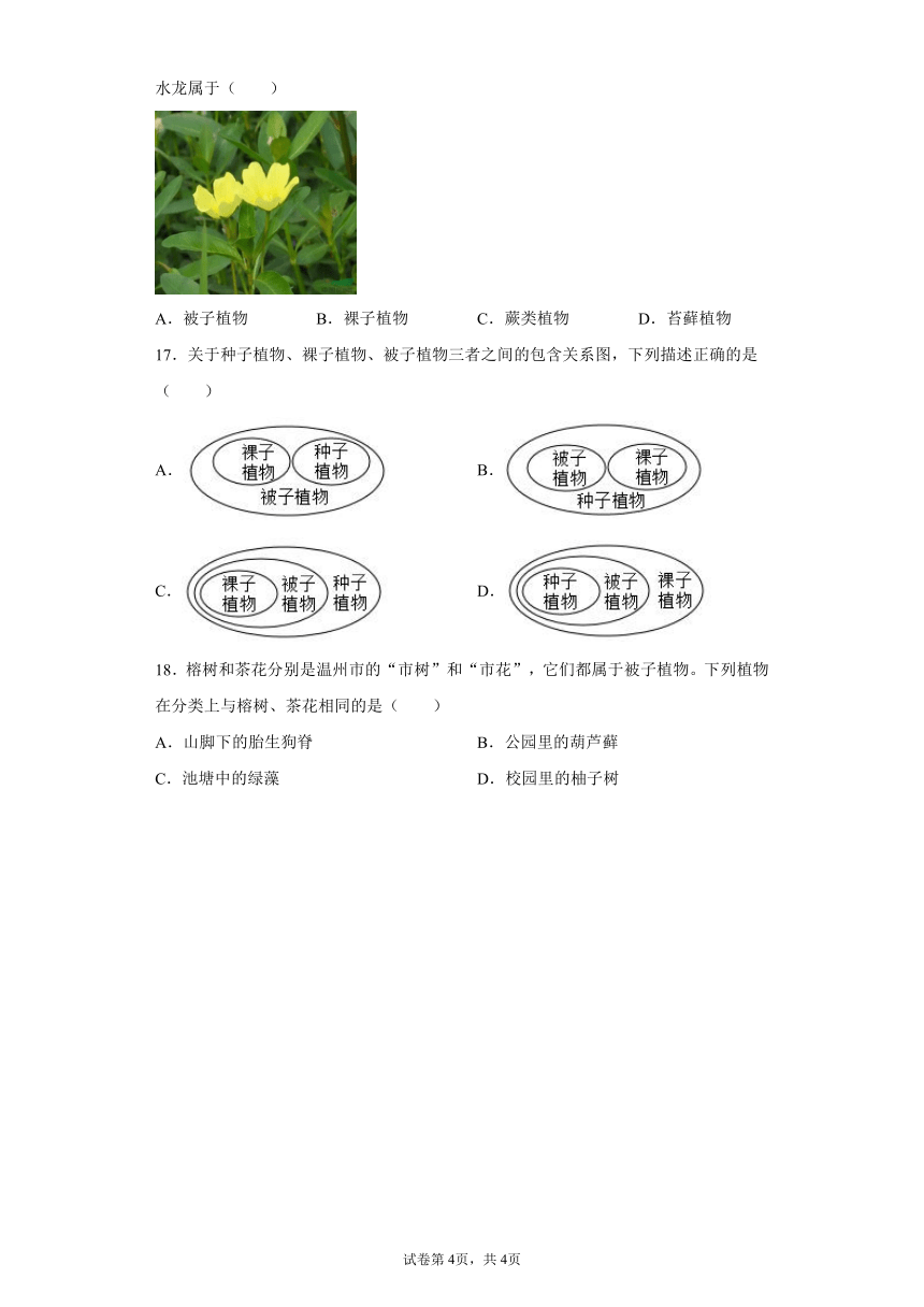 2.5 常见的植物 同步练习（含解析）