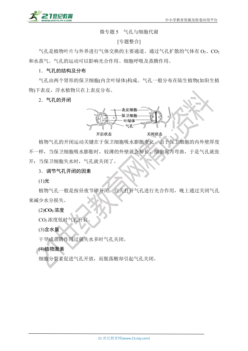 【考点梳理  生物总复习 】19微专题5　气孔与细胞代谢（Word版含答案）