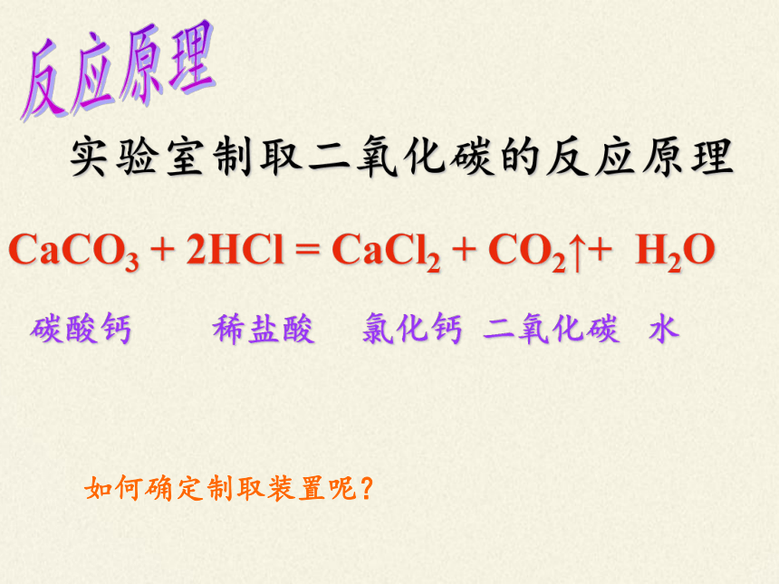 人教版（五四制）八年级全一册化学 第六单元 课题2 二氧化碳制取的研究（课件）（20张PPT）