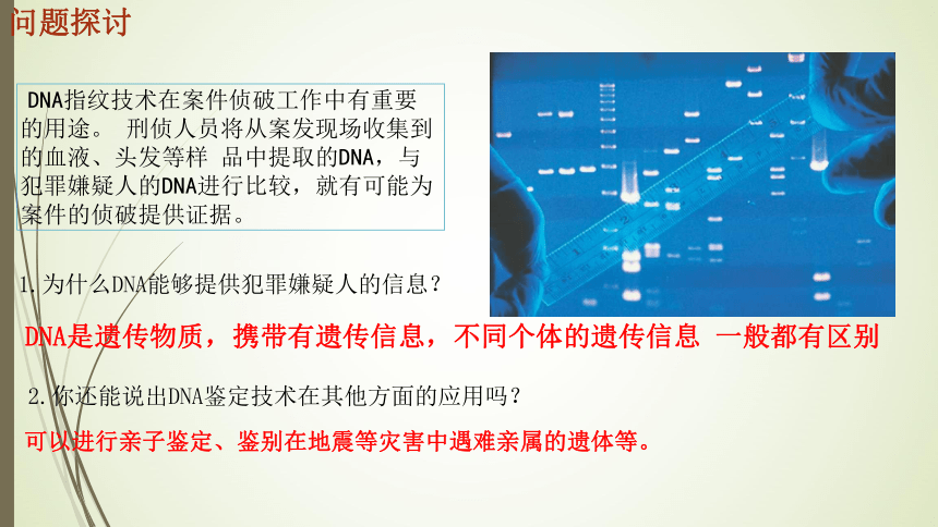 高中生物人教版必修一(2019)2.5核酸是遗传信息的携带者课件(27张)