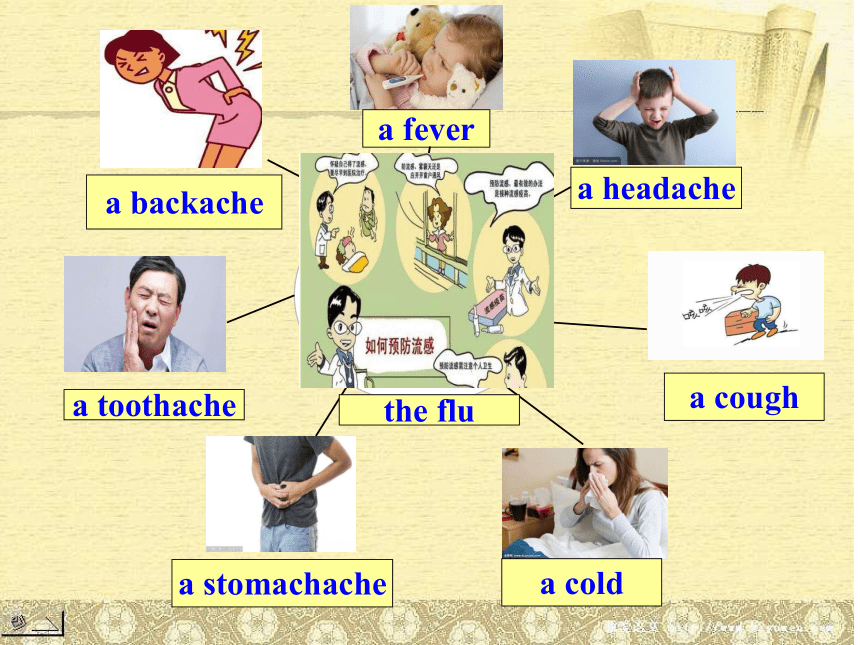 Unit 2 Keeping Healthy Topic 3 Must we exercise to prevent the flu ? Section A 课件 24张PPT