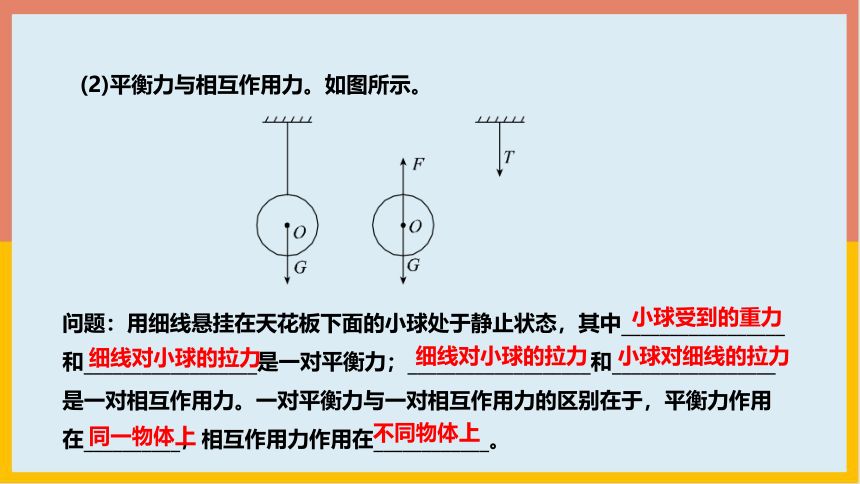 北师大版物理八年级下册7_5二力平衡  学案课件(共24张PPT)