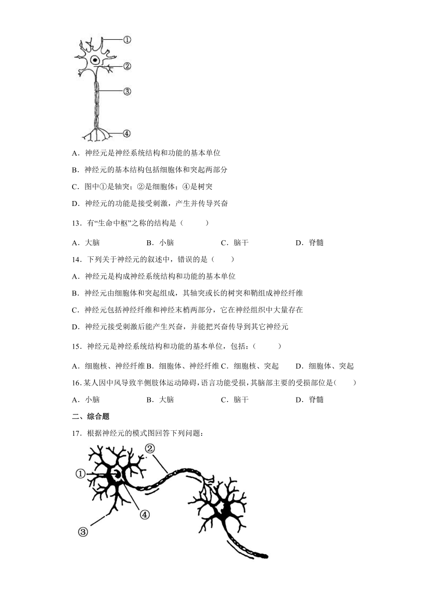 七年级下册4.6.2神经系统的组成同步练习（word版，含解析）