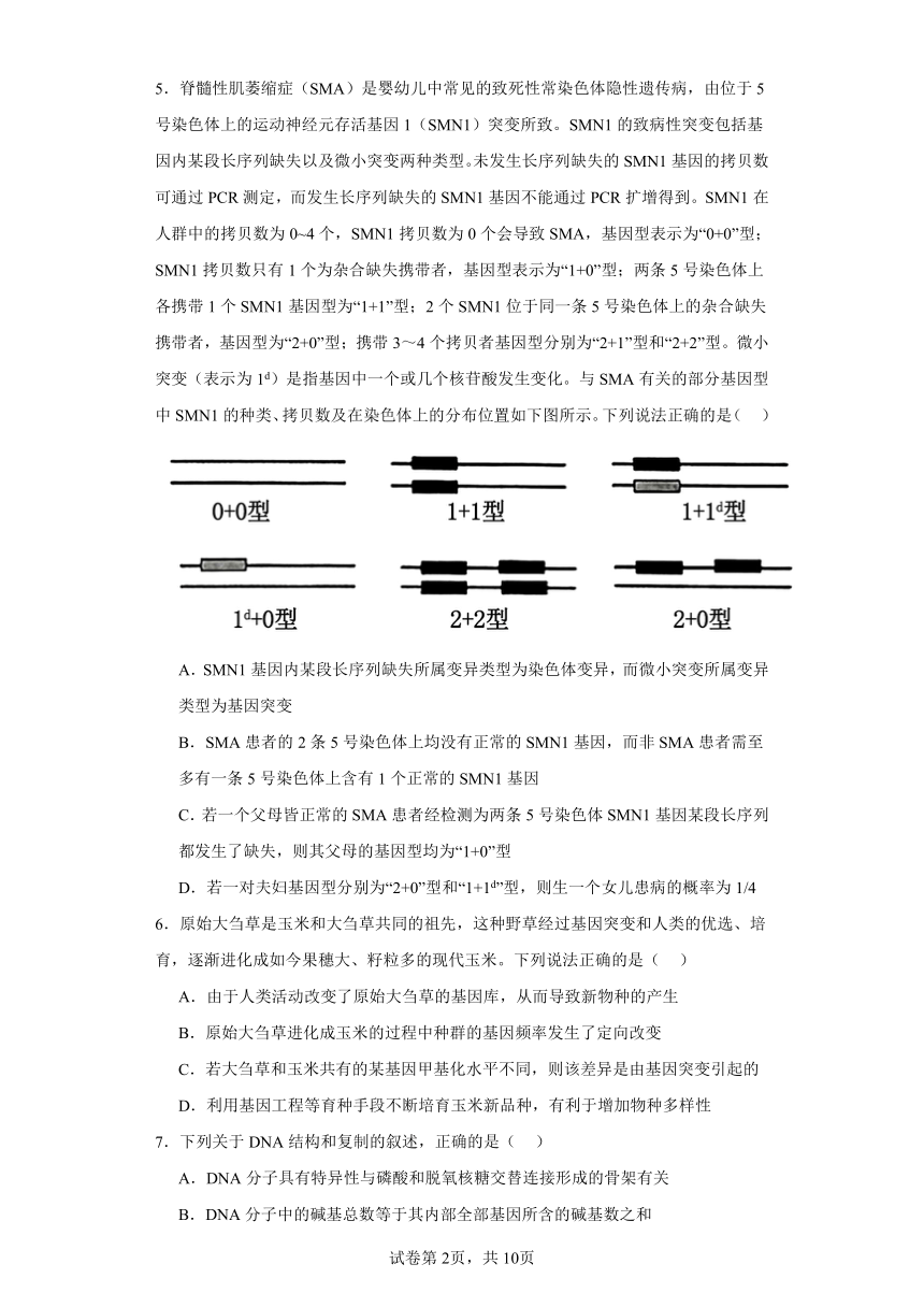 河北省保定市2023-2024学年高三下学期一模考试生物试题（含解析）
