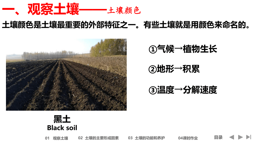 5.2土壤（共50张ppt）