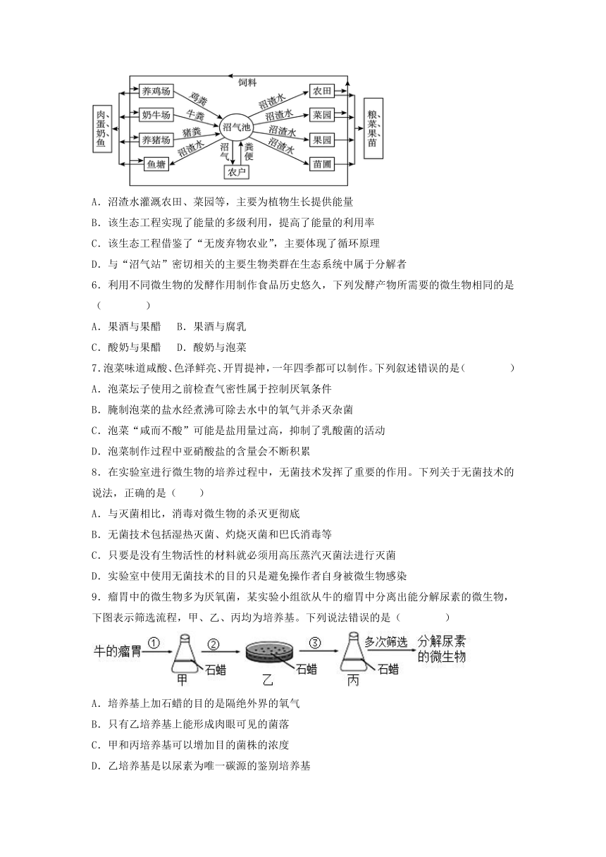 黑龙江省大庆市肇州县第二高级中学2022-2023学年高二下学期5月期中考试生物学试题（Word版含答案）