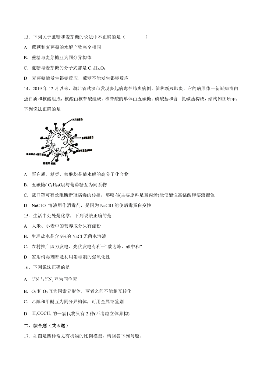 3.3饮食中的有机化合物——提升训练2021-2022学年高一化学下学期鲁科版（2019）必修第二册（含答案解析）