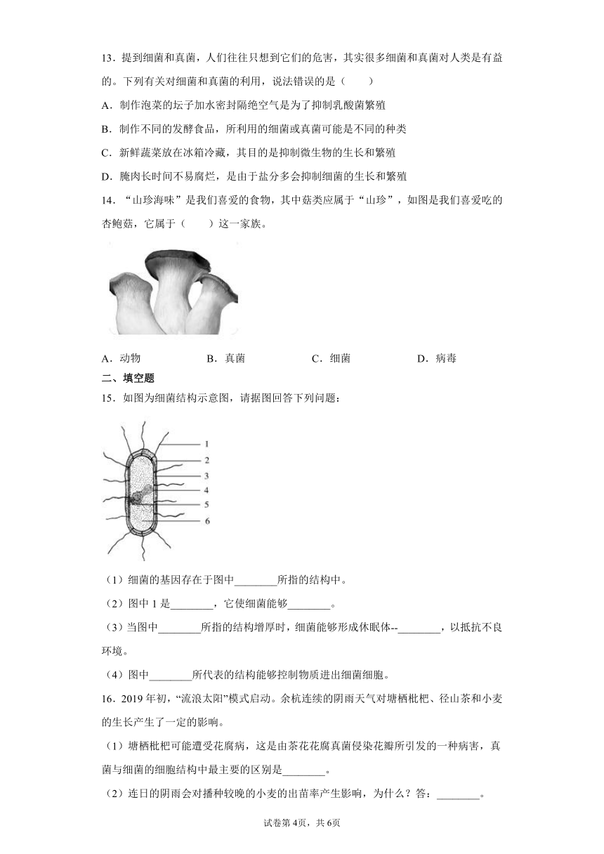 1.6 细菌和真菌的繁殖 同步练习（含解析）