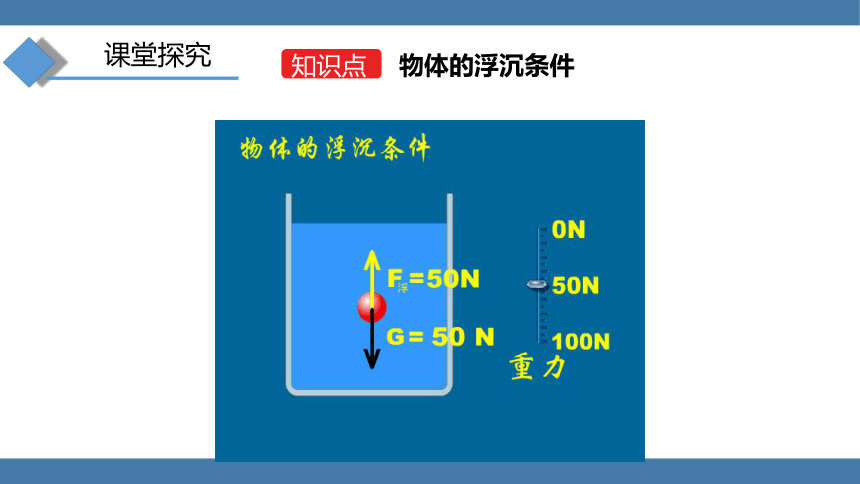 人教版八年级物理下册课件 (共17张PPT) 10.3 物体的浮沉条件及应用 第一课时