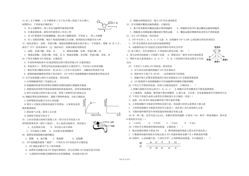 宁夏银川市第六中学2021-2022学年第一学期高三第一次月考（9月）生物试题（图片版，无答案）