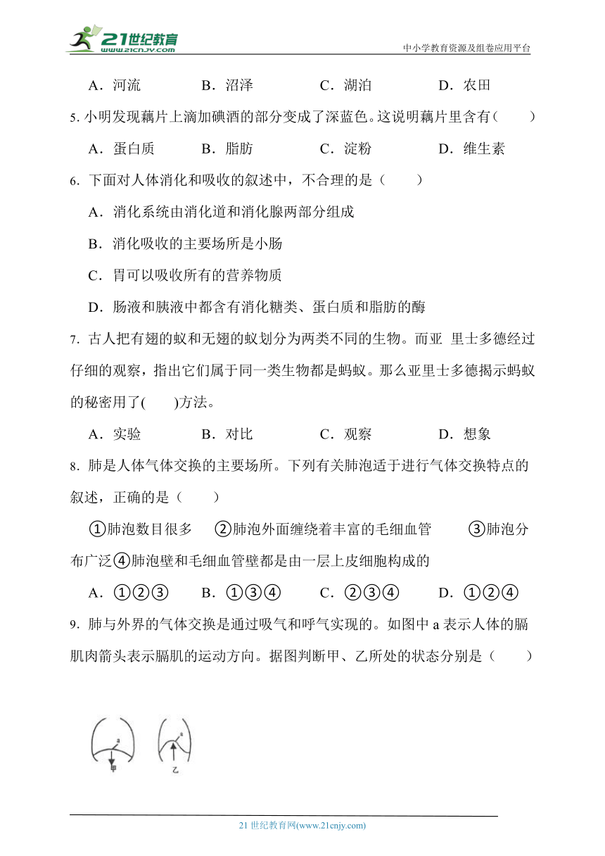 苏科版生物七年级上册期末模拟试卷（三）（含解析）