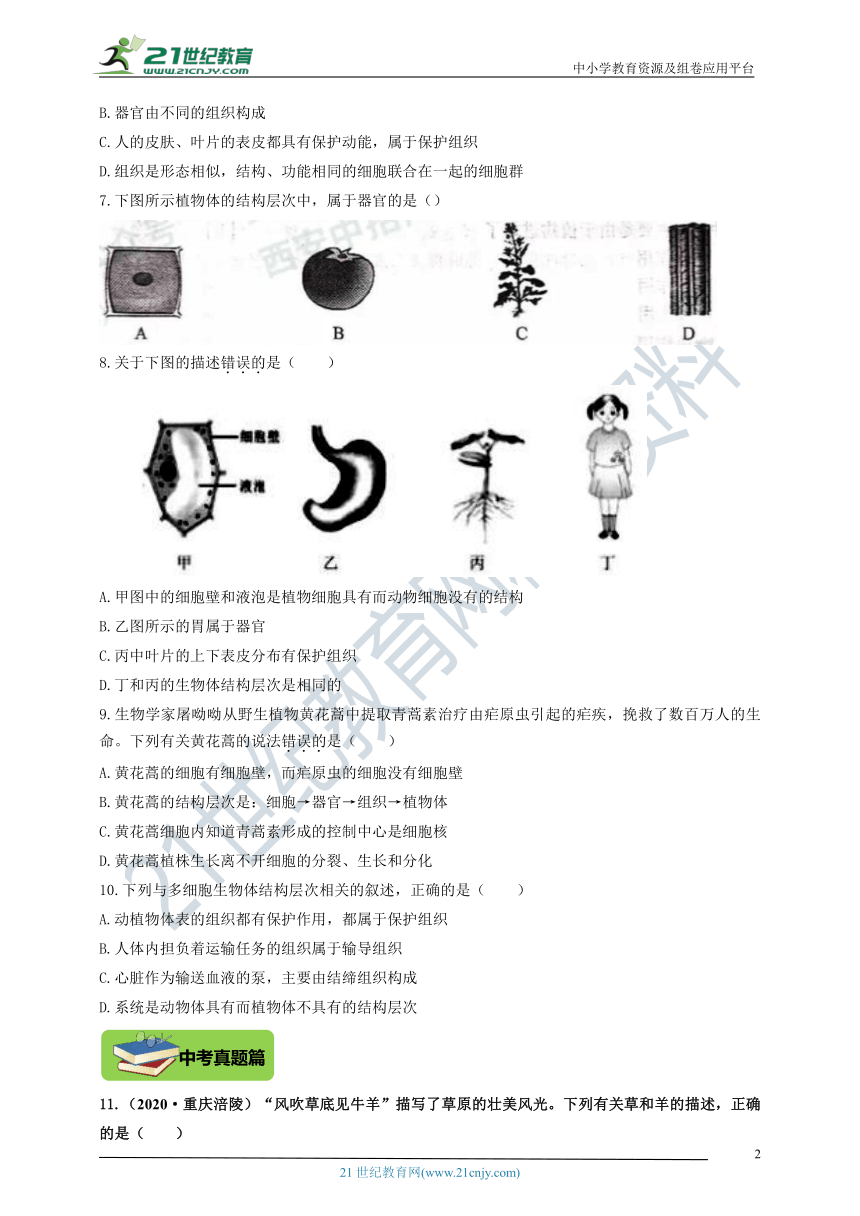 1.2.3《多细胞生物体》同步精编精练