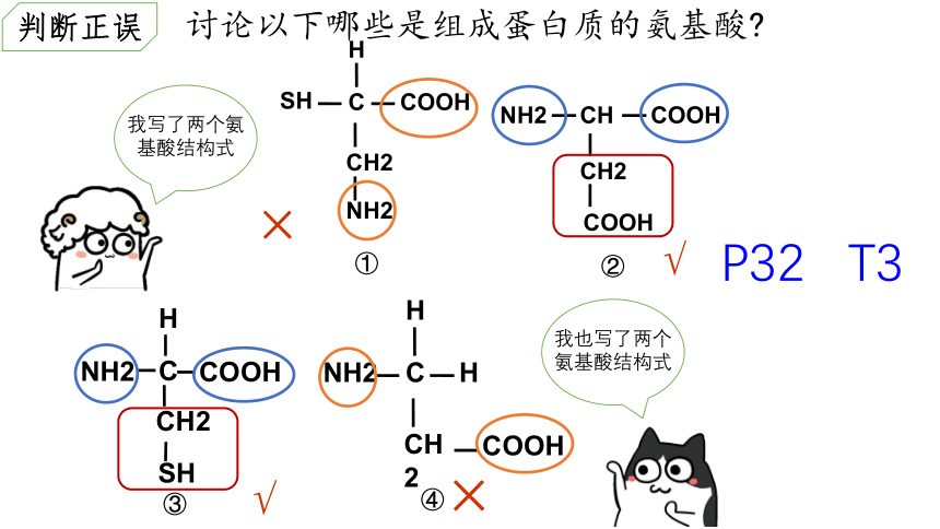 2021-2022学年高一上学期生物人教版必修一2.4蛋白质是生命活动的主要承担者 课件（共24张PPT）