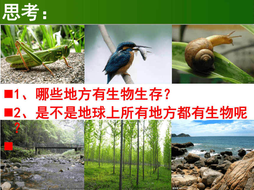 济南版七年级生物上册  1.1.2  生物的生活环境 课件（57张PPT）