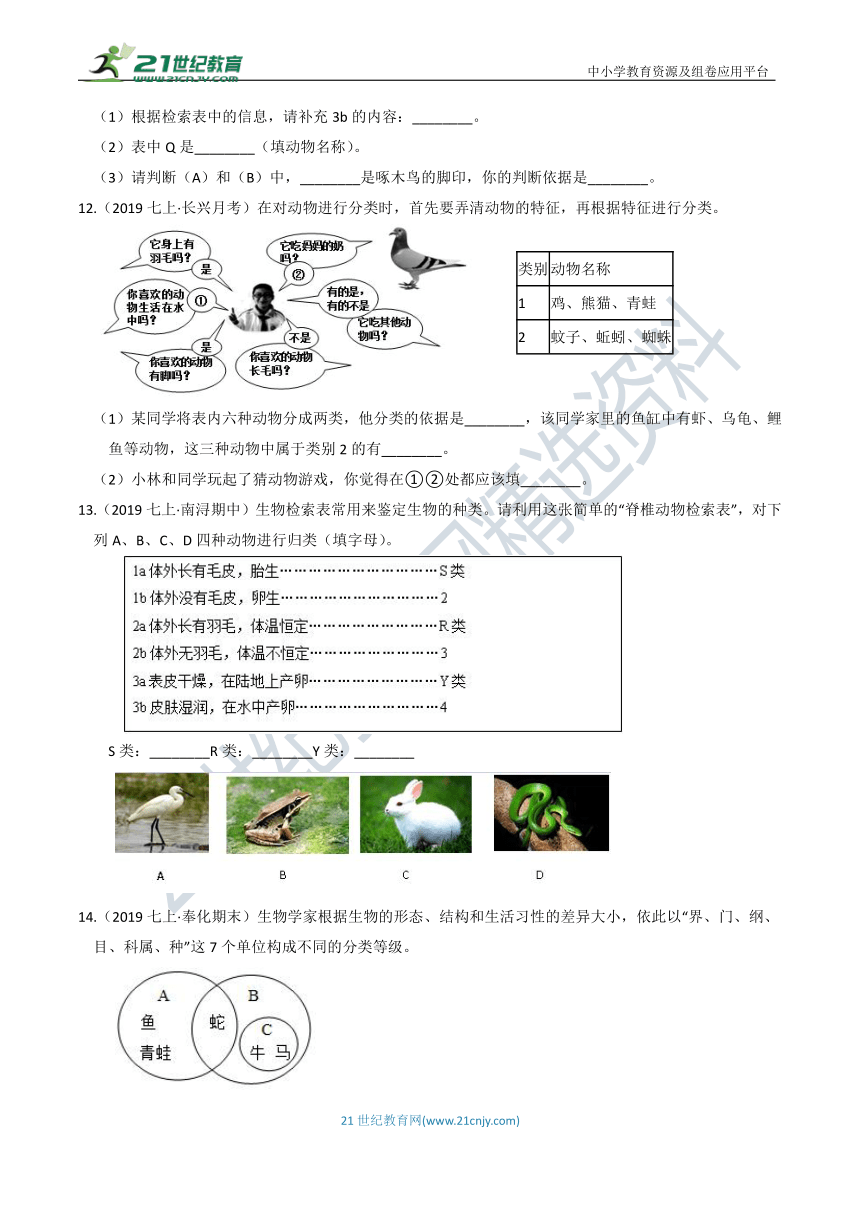 【7年级上册同步重难点集训】07 第二章 4节   常见的动物（含答案）