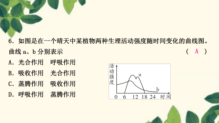 人教版生物七年级上册 期末复习专题(四)　第三单元 第三～六章 复习课件(共22张PPT)