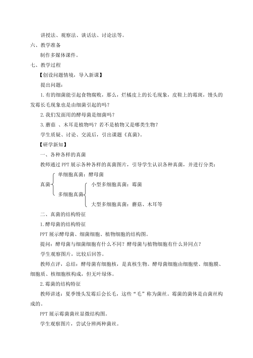 鲁科版（五四制）七年级下册生物 6.1.3真菌  教案