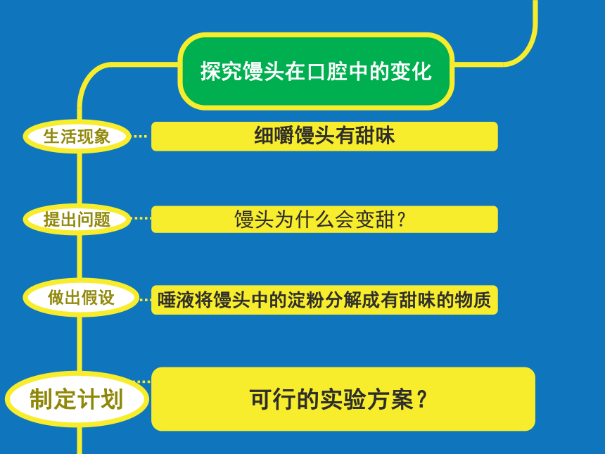 初中生物北京版七年级上册第四章第三节 人和动物的营养 探究馒头在口腔中的变化课件(共32张PPT)