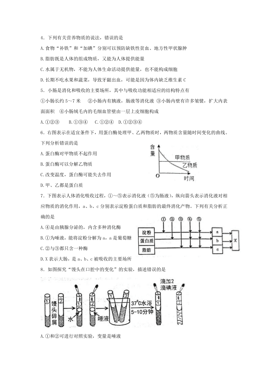 山东省东营市广饶县（五四学制）2021-2022学年七年级上学期期末生物试题（word版无答案）