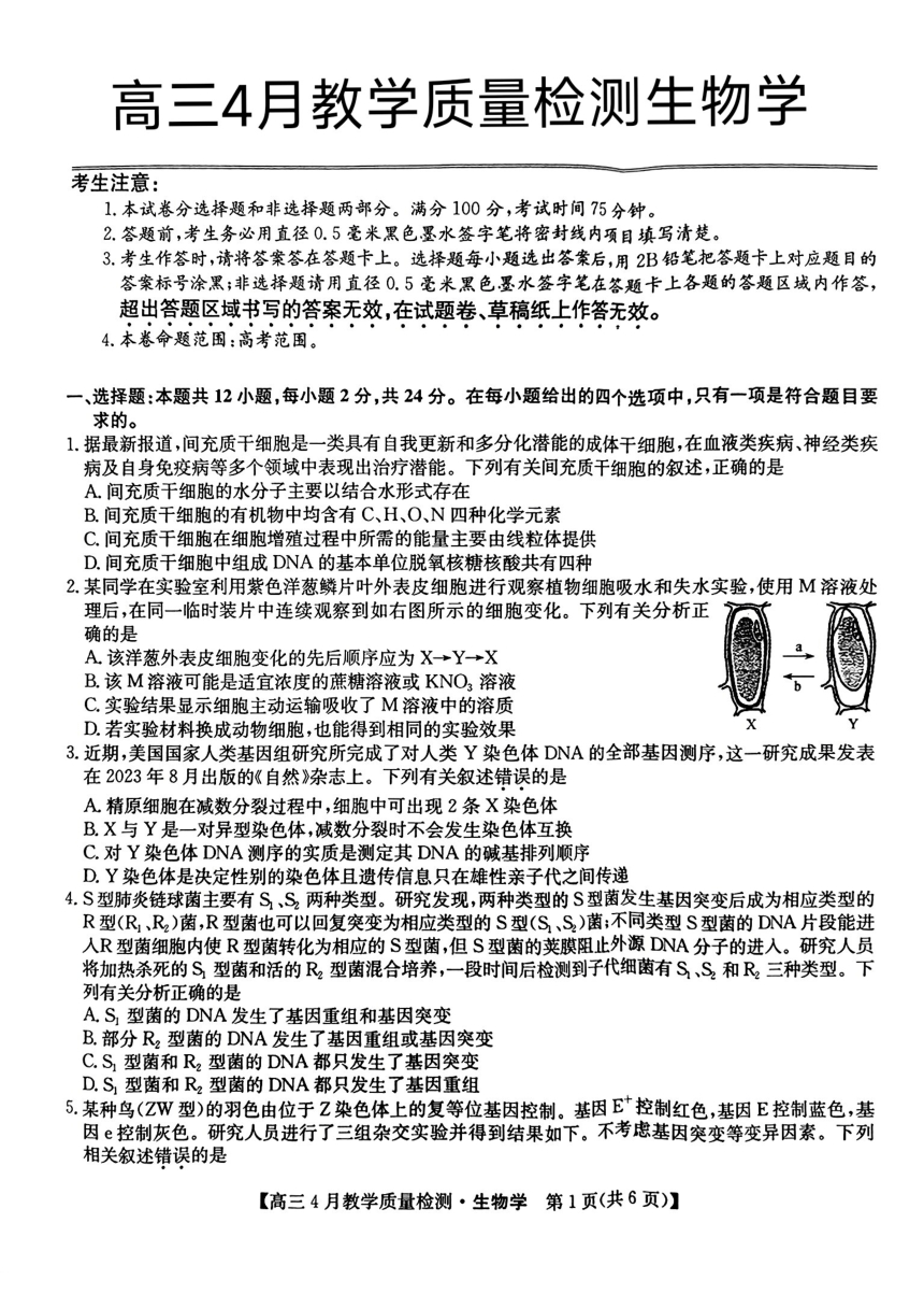 2024届江西省九师大联考高三4月二模生物试题（PDF版，无答案）