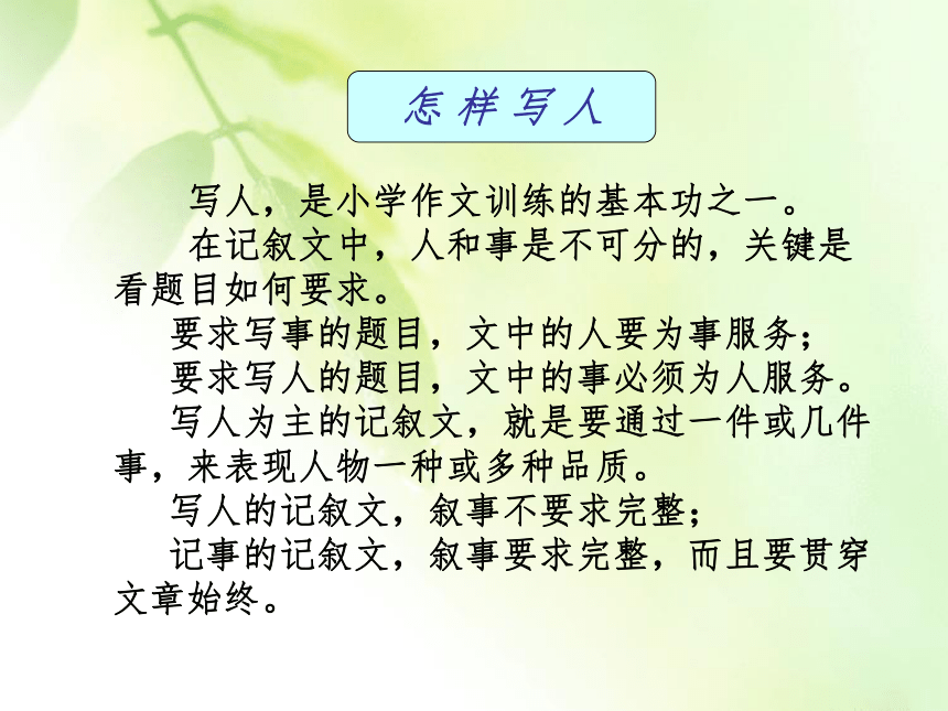 小学作文写作方法指导  课件(共50张)