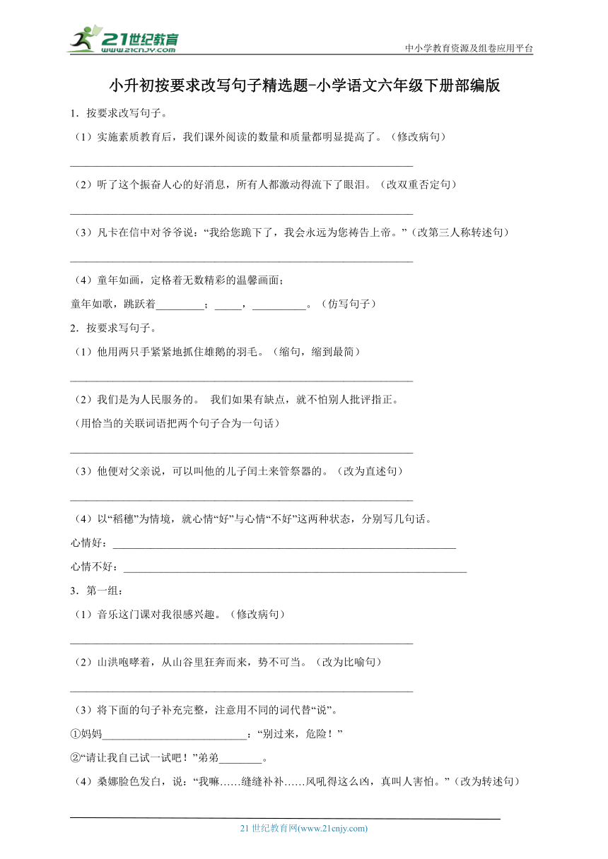 部编版小学语文六年级下册小升初按要求改写句子精选题-（含答案）