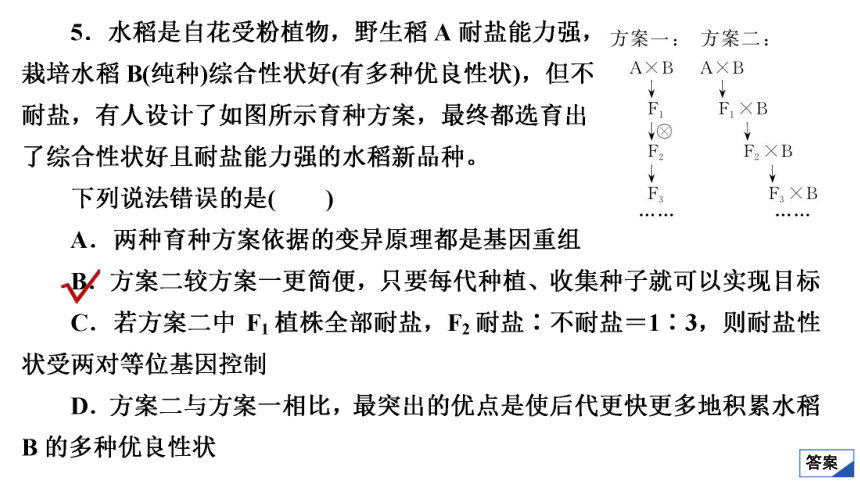 高考生物复习用卷：考点24 杂交育种到基因工程（共53张PPT）