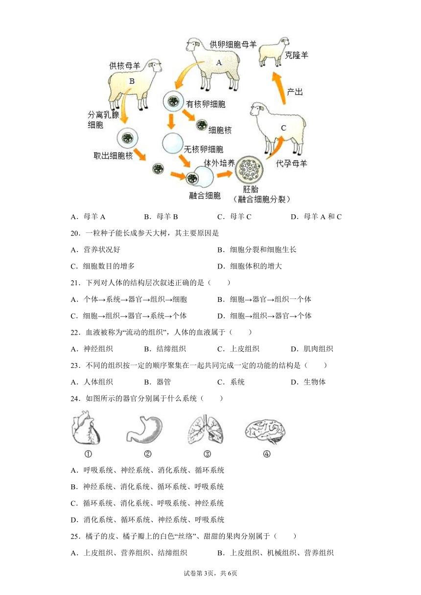 黑龙江省大庆市杜尔伯特蒙古族自治县2021-2022学年六年级上学期期末生物试题（word版 含答案）