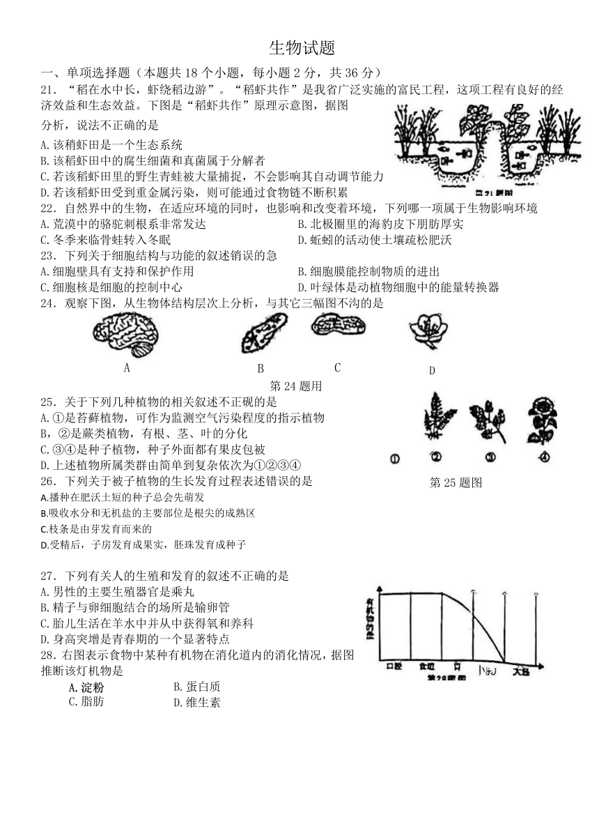 2023年湖北省十堰市生物中考真题（含答案）