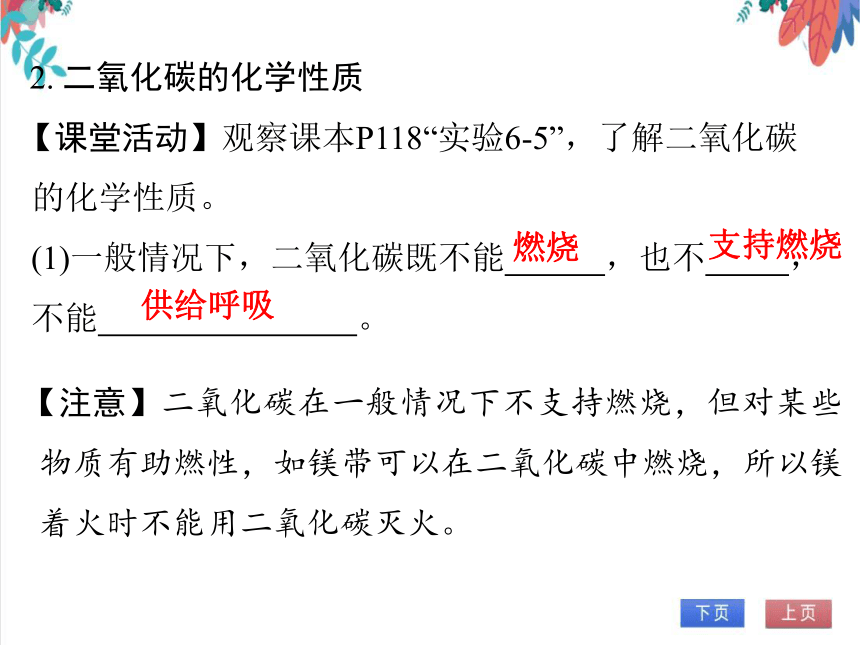 【人教版】化学九年级全一册 6.3.1 二氧化碳 习题课件