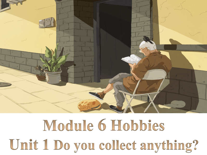 外研版八年级下册Module 6 Hobbies  Unit 1 Do you collect anything？课件(共56张PPT，内嵌音频)