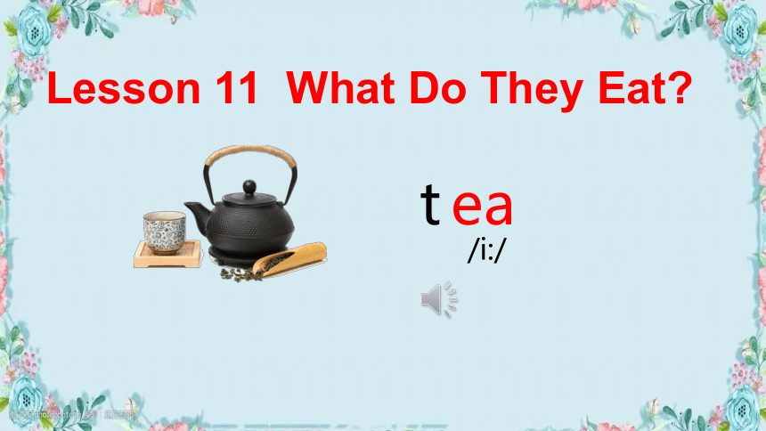 Unit 2 Animals at the Zoo Lesson 11 What Do They Eat?课件(共28张PPT)