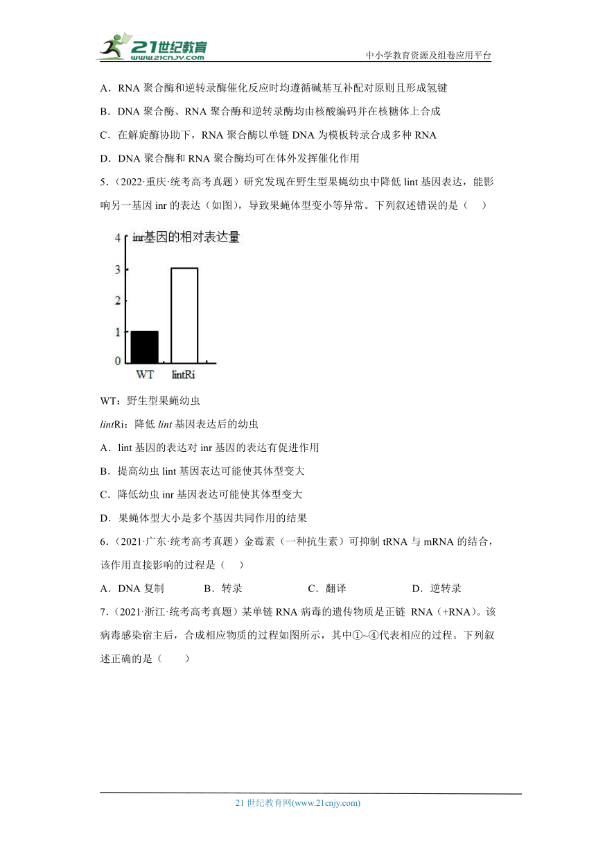 五年2018-2022高考生物真题按知识点分类汇编42-基因相对性状的控制（含解析）