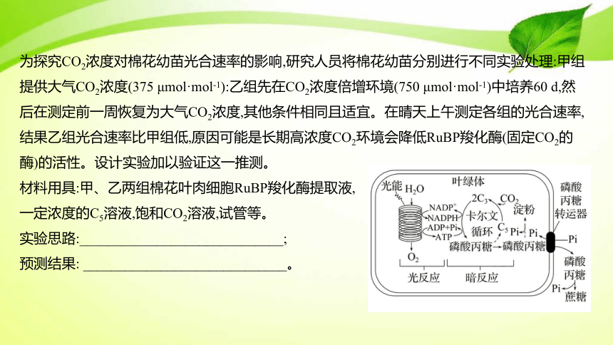 高中生物核心素养微专题之科学探究3 实验思路的书写、预期实验结果及结论（代谢类）(共8张PPT)