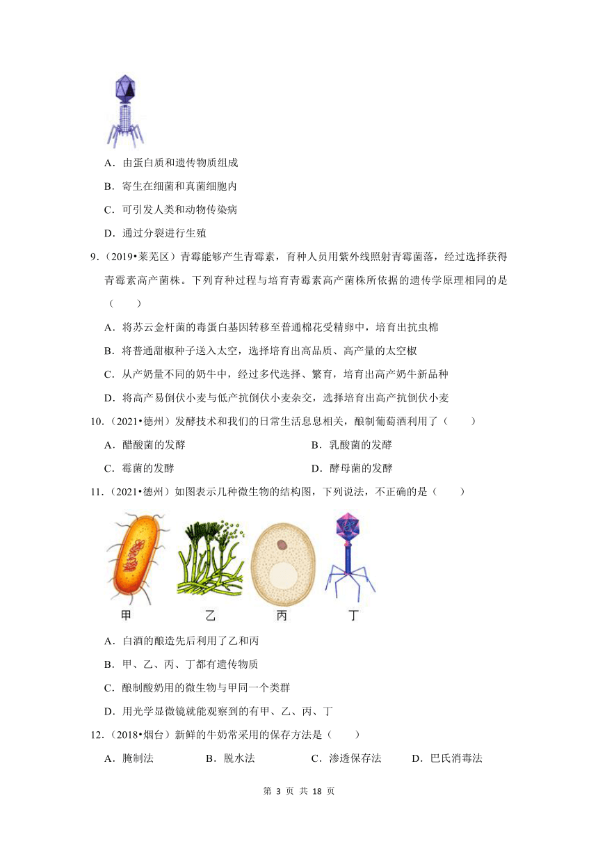 五年山东中考生物真题分类汇编---细菌、真菌、病毒（含解析）