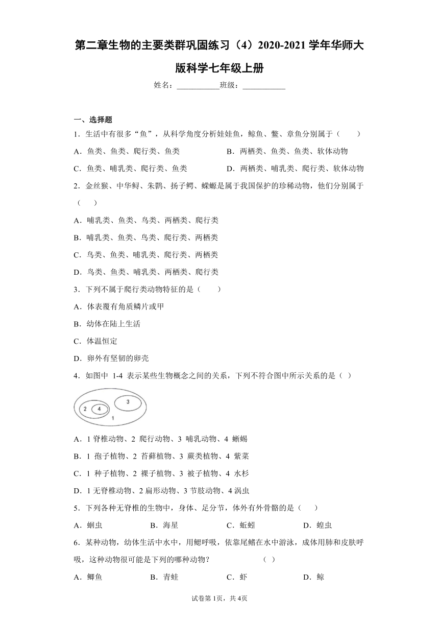 第2章 生物的主要类群 巩固练习（有答案）