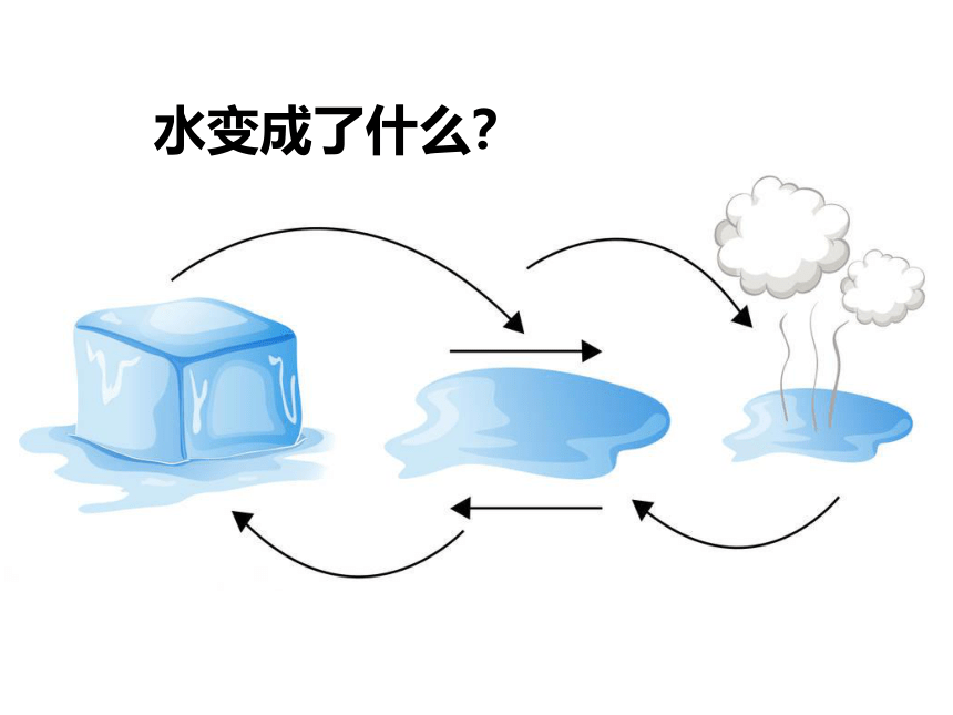 教科版（2017秋）三年级科学上册1.8 它们发生了什么变化（课件9张ppt）