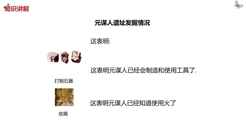 第1课 中国境内早期人类的代表—北京人  课件 (26张PPT)