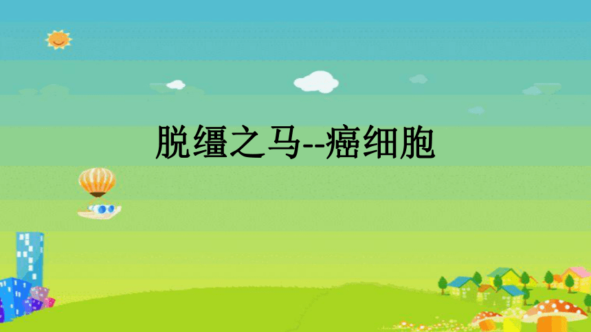 人教版七年级上册生物 第二单元 脱缰之马—癌细胞 课件(共13张PPT)