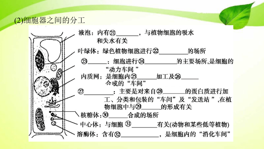 高考生物专题课件4：细胞膜、细胞器与细胞核(共81张PPT）