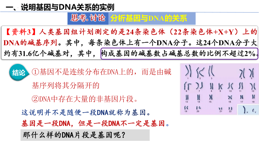 3.4基因通常是具有遗传效应的DNA片段(共31张PPT)课件