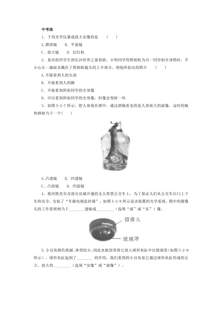 5.2生活中的透镜同步练习 2021-2022学年人教版物理八年级上册 (1)含答案