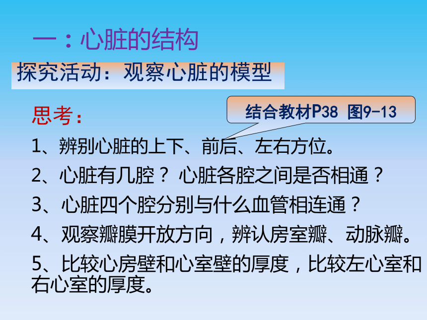 北师大版生物七年级下册 心脏是血液流动的动力器官课件（共25张PPT）