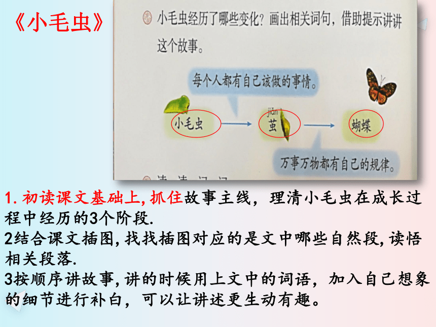 部编版语文二年级下册第七单元教材分析（课件）(共48张PPT)