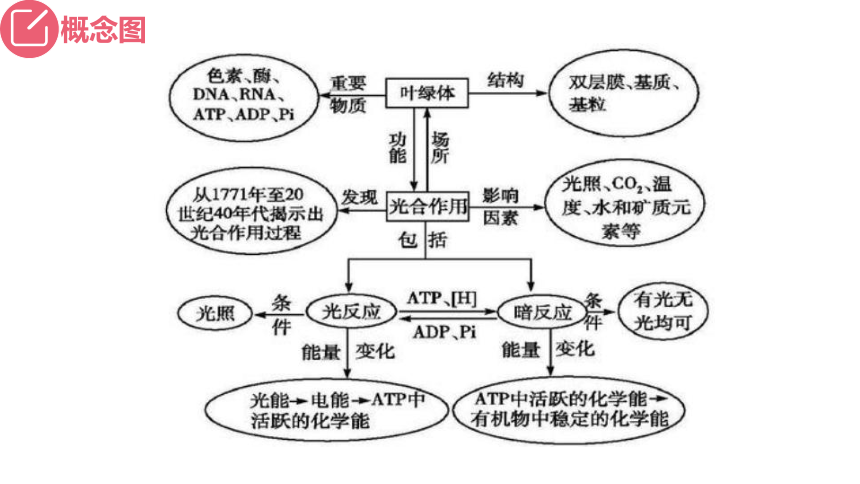 新人教必修1专题复习课件：18 光合作用2（光合作用的过程）(共44张PPT)