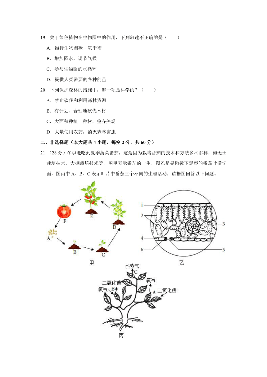 安徽省淮北市濉溪县孙疃中心学校2022-2023学年七年级上学期期末生物试卷（含解析）