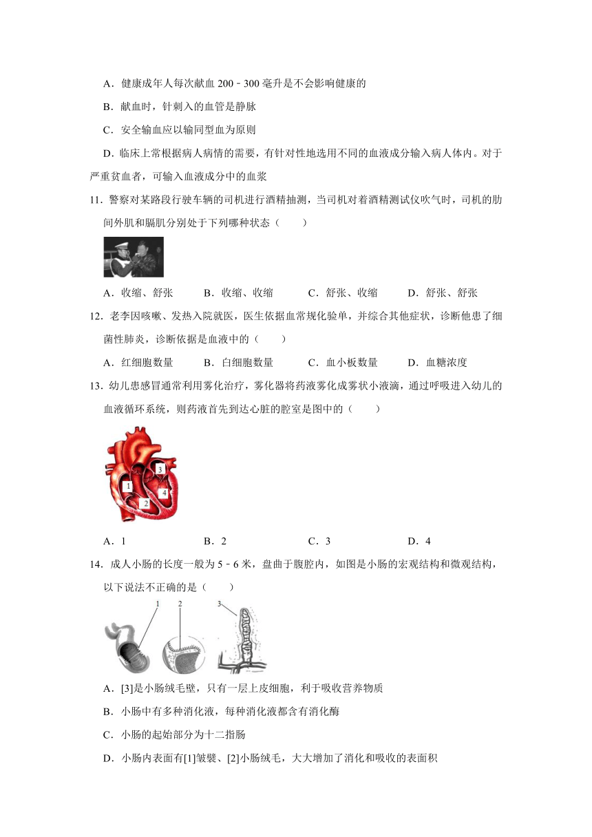 2020-2021学年山东省烟台市莱阳市七年级（上）期末生物试卷（五四学制）    （含解析版）